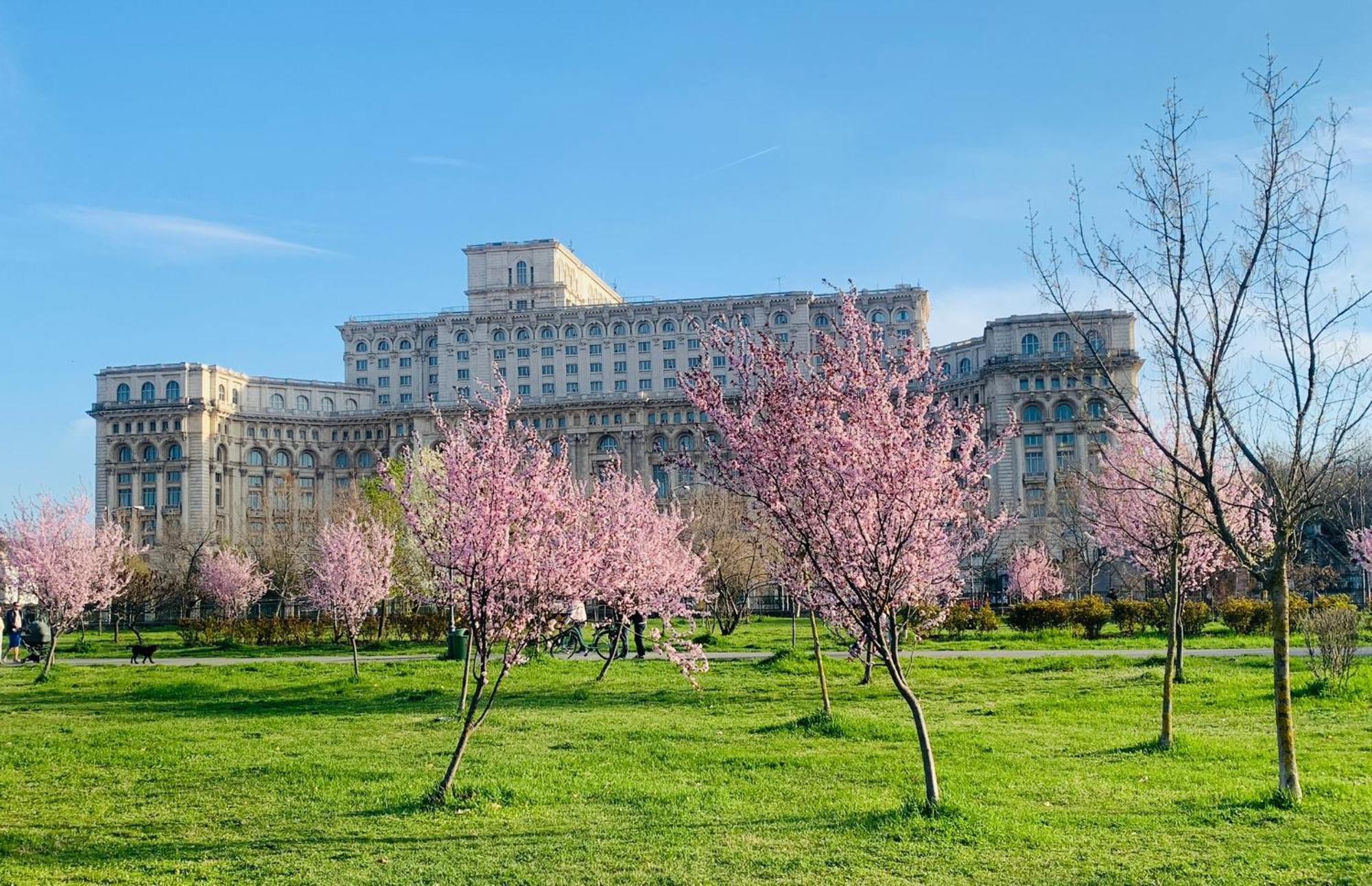 Chic Apartment Piata Constitutiei - View From The Balcony To The Palace Of Parliament Bucharest Exterior photo